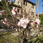 Le Cascatelle Vendégház Assisi