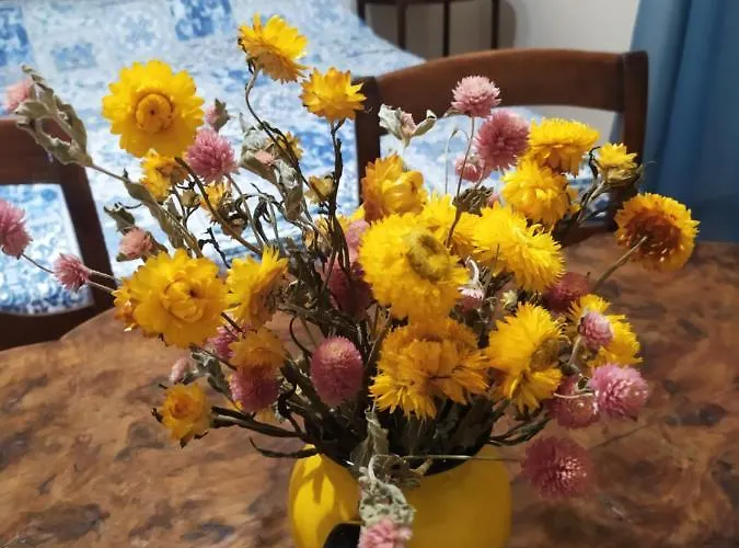 Le Cascatelle Affittacamere