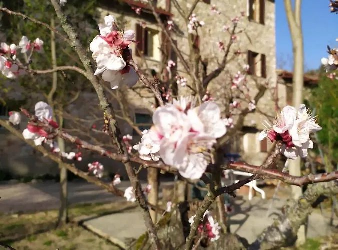 Le Cascatelle Affittacamere Assisi