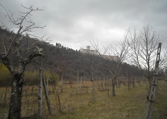 Affittacamere Le Cascatelle Assisi